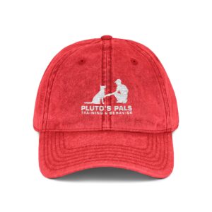 Vintage Embroidered Baseball Cap — Pluto & Earl Pet Rescue Logo