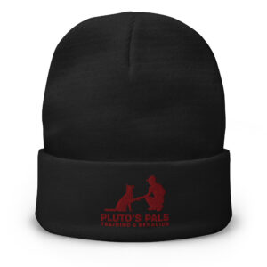 Embroidered Beanie
